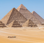 Les Amis du musée de l’Homme, Antenne Océanique